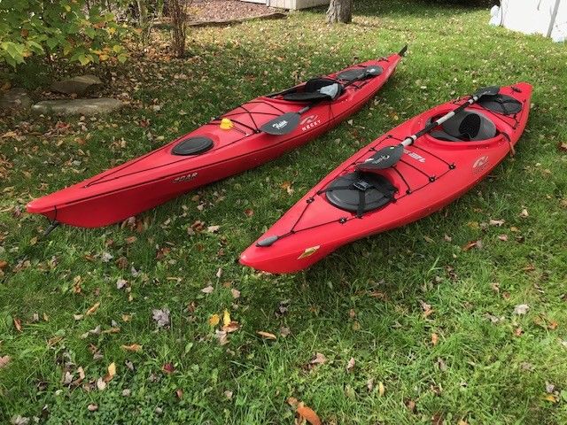 Kayak Necky Kayaks for sale from United States