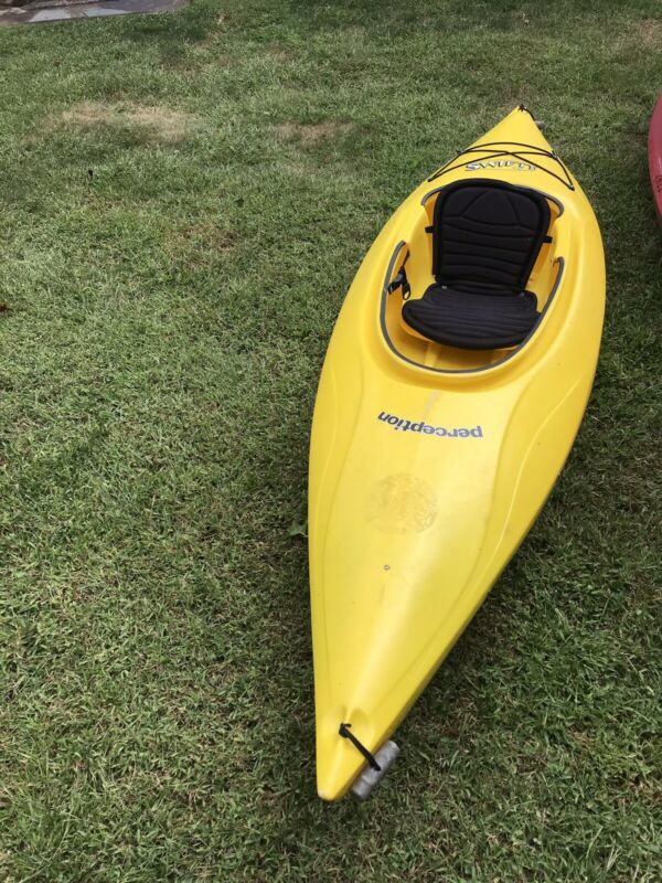 perception swifty 3.1 kayak
