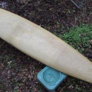 poke boat phoenix vagabond kayak / canoe for sale from